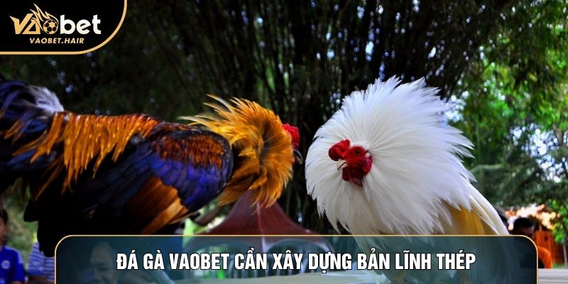 Đá gà Vaobet cần xây dựng bản lĩnh thép