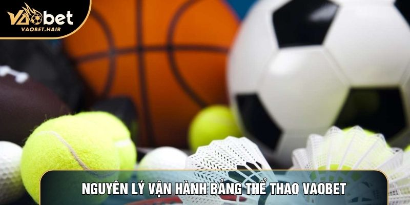 Nguyên lý vận hành bảng thể thao Vaobet