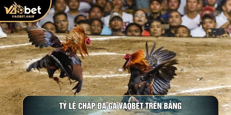 Tỷ lệ chấp đá gà Vaobet trên bảng