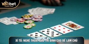 Xì tố: Nghệ Thuật Đấu Trí Đỉnh Cao Để Làm Chủ Bàn Chơi