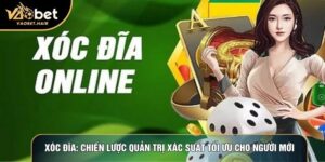 Xóc Đĩa: Chiến Lược Quản Trị Xác Suất Tối Ưu Cho Người Mới